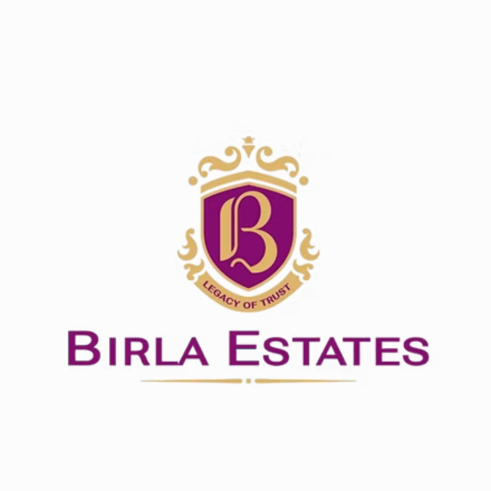 Leads Developer Client Birla